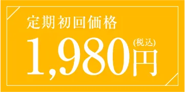 定期初回価格1,980円(税込)